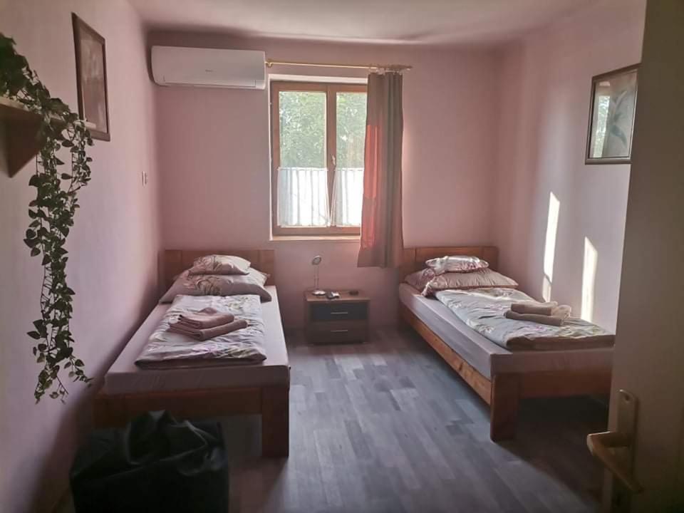 Pázsit-tó Vendégház Békésszentandrás Exterior foto